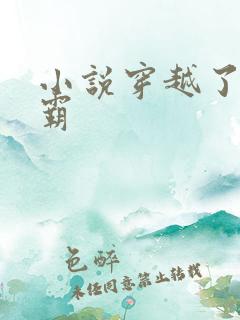 小说穿越了的学霸