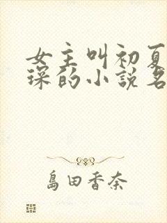 女主叫初夏顾霆琛的小说名字