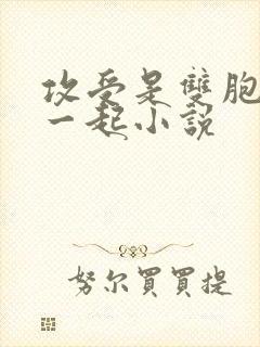 攻受是双胞胎在一起小说