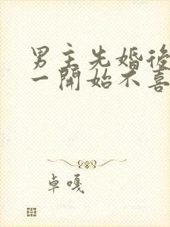 男主先婚后爱,一开始不喜欢女主角