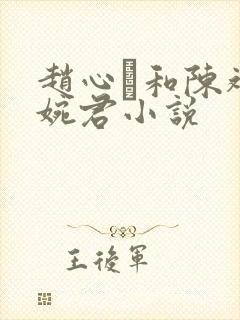 赵心睸和陈斌高婉君小说