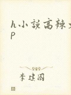 h小说高辣文np
