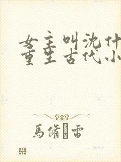 女主叫沈什么的重生古代小说