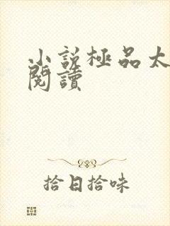 小说极品太子爷阅读