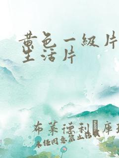 黄色一级片夫妻生活片
