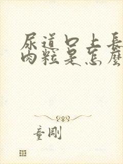 尿道口上长了小肉粒是怎么回事