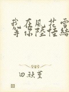 我在风花雪月里等你陆佳结局