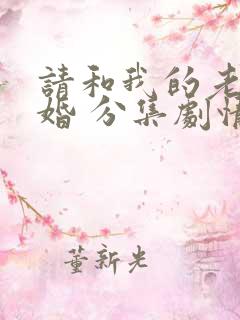 请和我的老公结婚 分集剧情