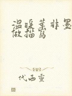 温暖叶非墨车内做描写