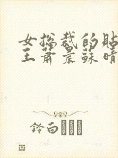 女总裁的贴身兵王萧晨苏晴