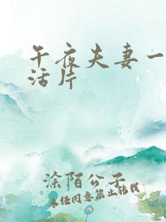 午夜夫妻一级生活片