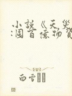 小说《天灾降临:囤百亿物资玩转末世》