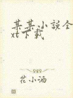 某某小说全本txt下载