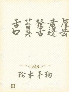 舌苔发黄厚口苦口臭舌边齿痕