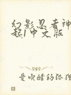 幻影忍者神龙崛起1中文版