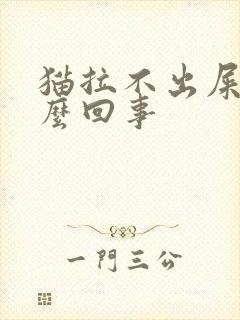 猫拉不出屎尿怎么回事