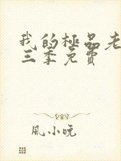 我的极品老婆第三季免费