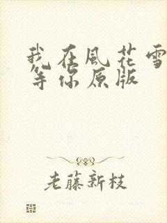 我在风花雪月里等你原版