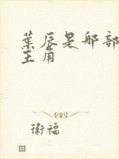 叶辰是哪部小说主角