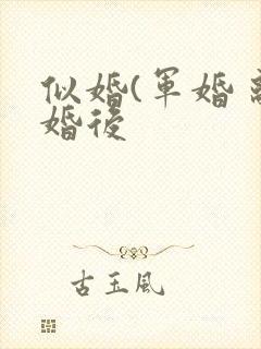 似婚(军婚 离婚后