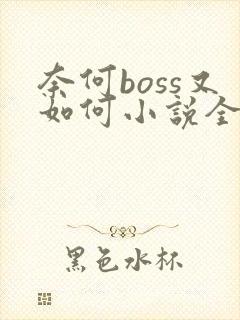 奈何boss又如何小说全文免费阅读