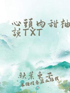 心头肉甜柚子小说TXT