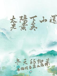 太阳下山还有月光黄英