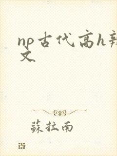 np古代高h辣文
