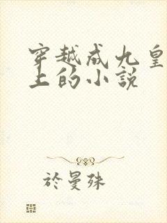 穿越成九皇子身上的小说