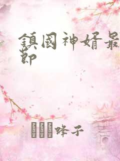镇国神婿最新章节