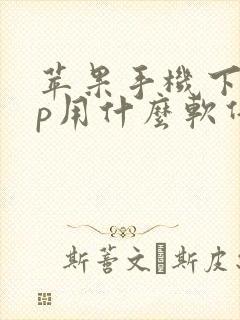 苹果手机下app用什么软件