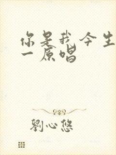 你是我今生的唯一原唱