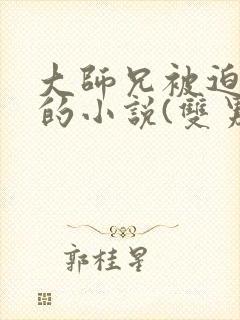 大师兄被迫承欢的小说(双男主)