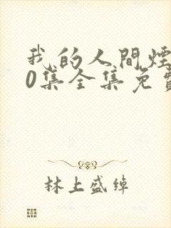 我的人间烟火40集全集免费