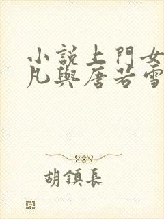 小说上门女婿叶凡与唐若雪