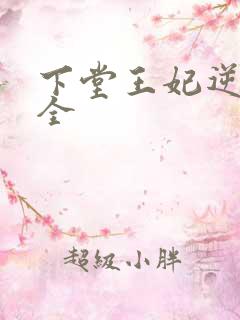 下堂王妃逆袭记全