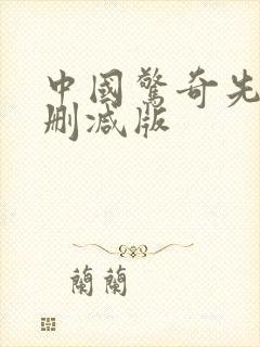 中国惊奇先生无删减版