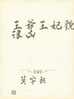 王爷王妃貌美又很凶