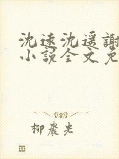 沈远沈遥谢子臣小说全文免费阅读