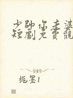 少帅你老婆又跑短剧免费观看在线播放