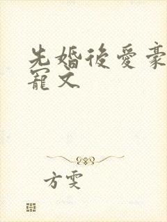 先婚后爱豪门甜宠文