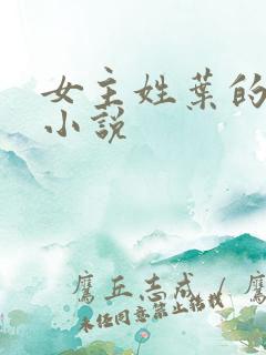 女主姓叶的穿越小说