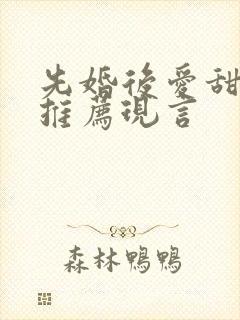 先婚后爱甜宠文推荐现言