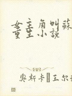 女主角叫苏黎的重生小说