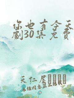 你也有今天电视剧30集免费观看