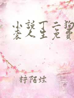 小说丁二狗的逆袭人生免费阅读