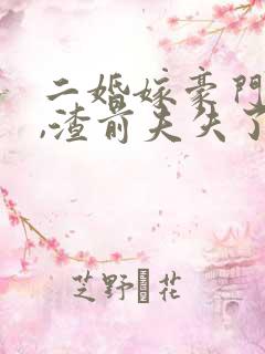 二婚嫁豪门大佬,渣前夫失了控小说版