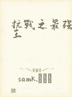 抗战之最强西南王