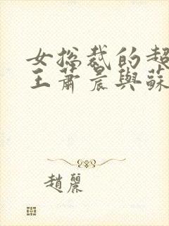 女总裁的超级兵王萧晨与苏晴