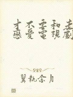 才不要和老板谈恋爱电视剧免费看